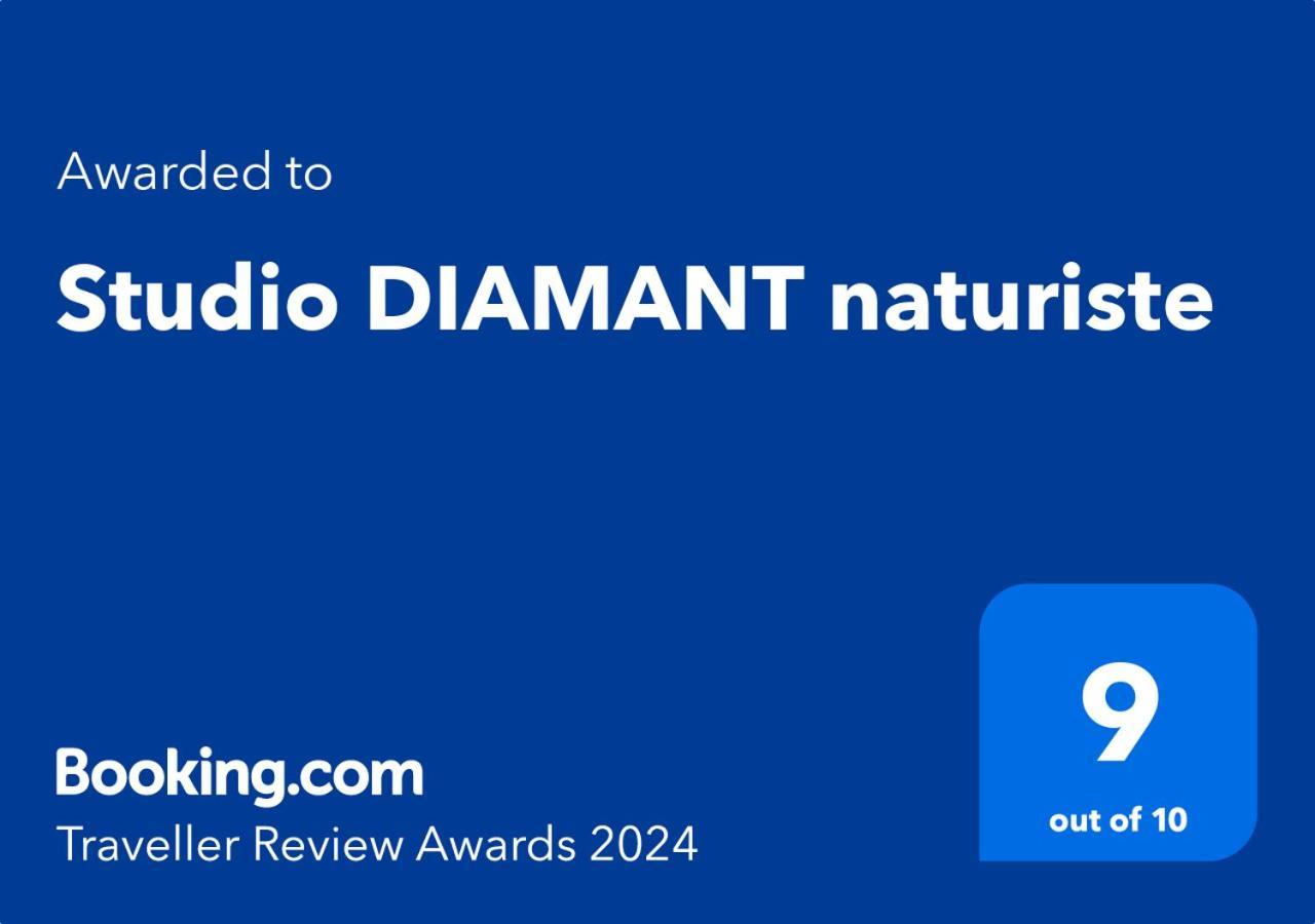 Studio Diamant Naturiste Agde Exteriör bild